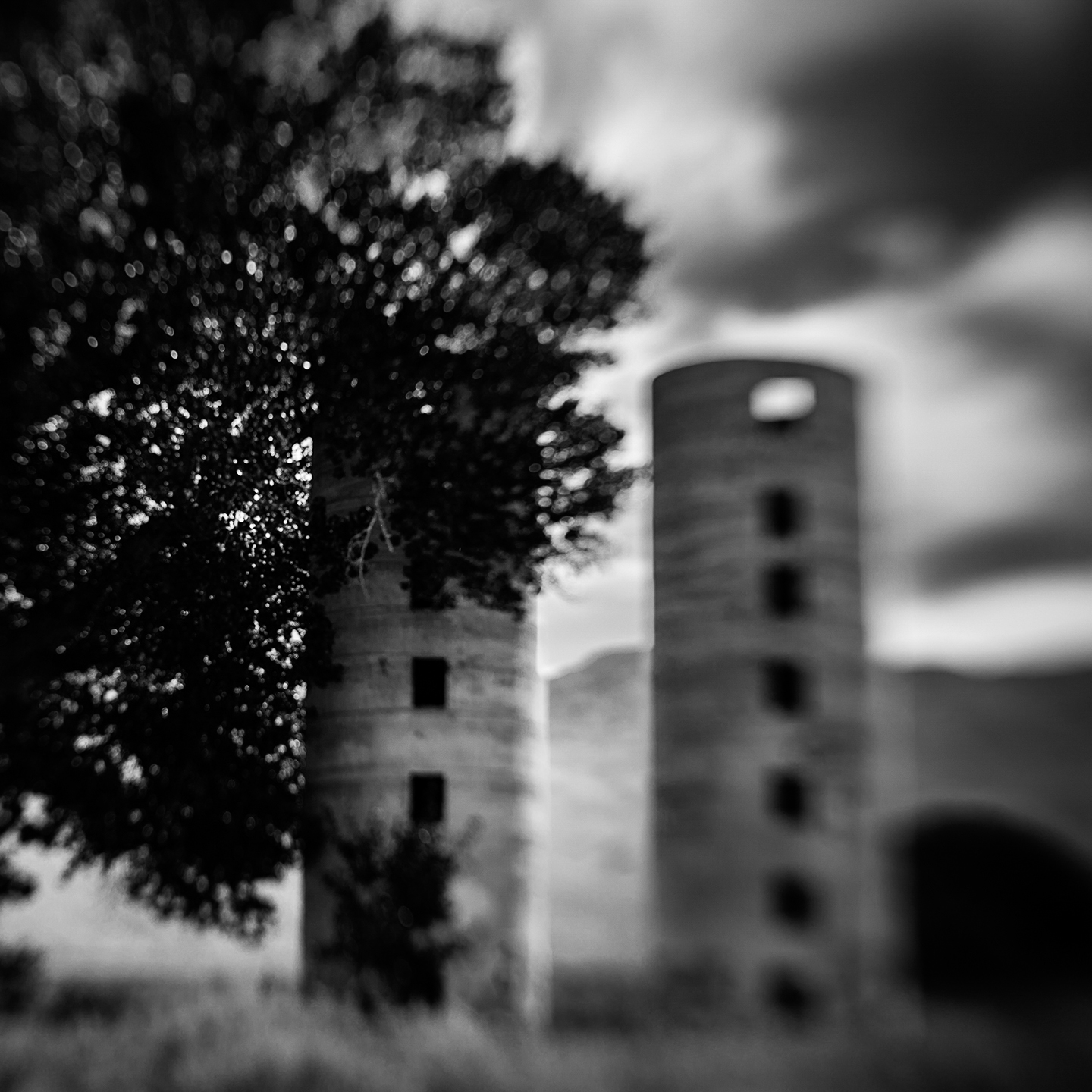 012_w_T4Q4769_bw
