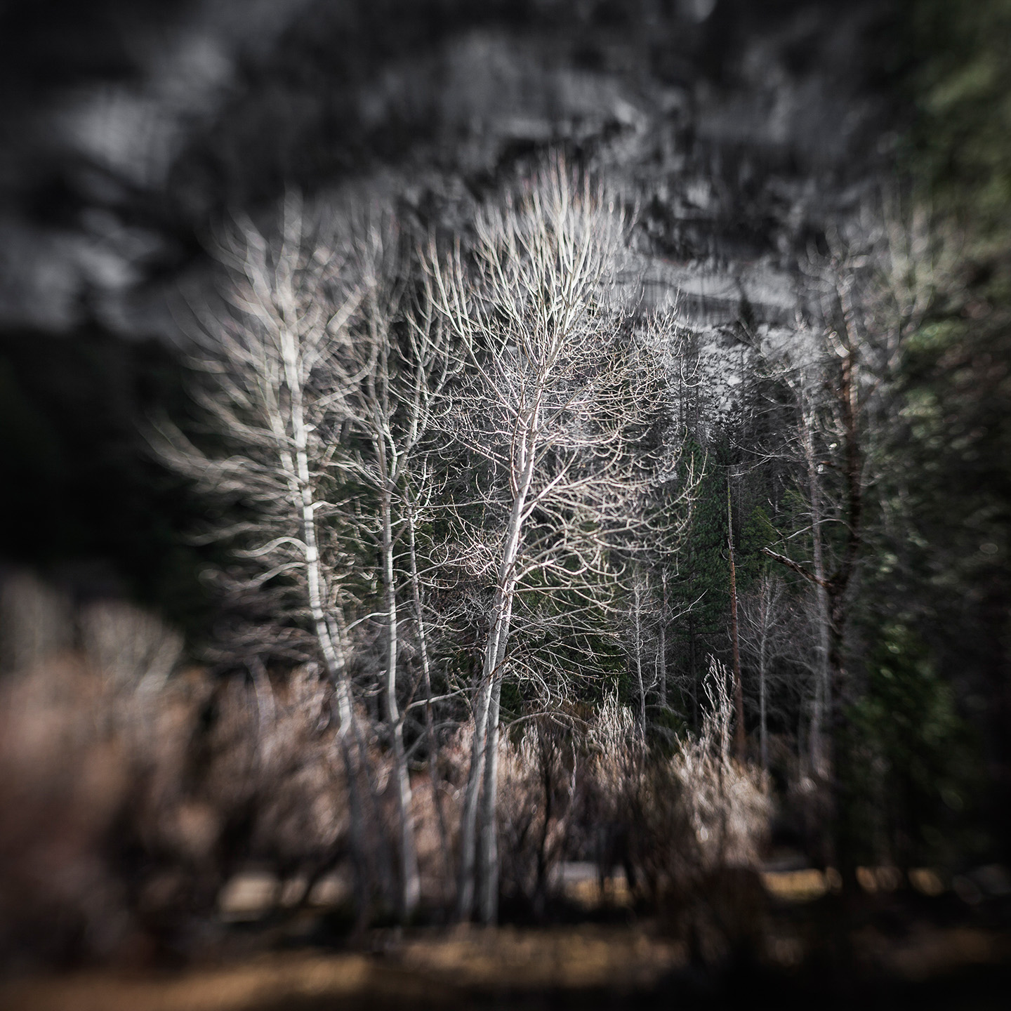 06_y_T4Q4892